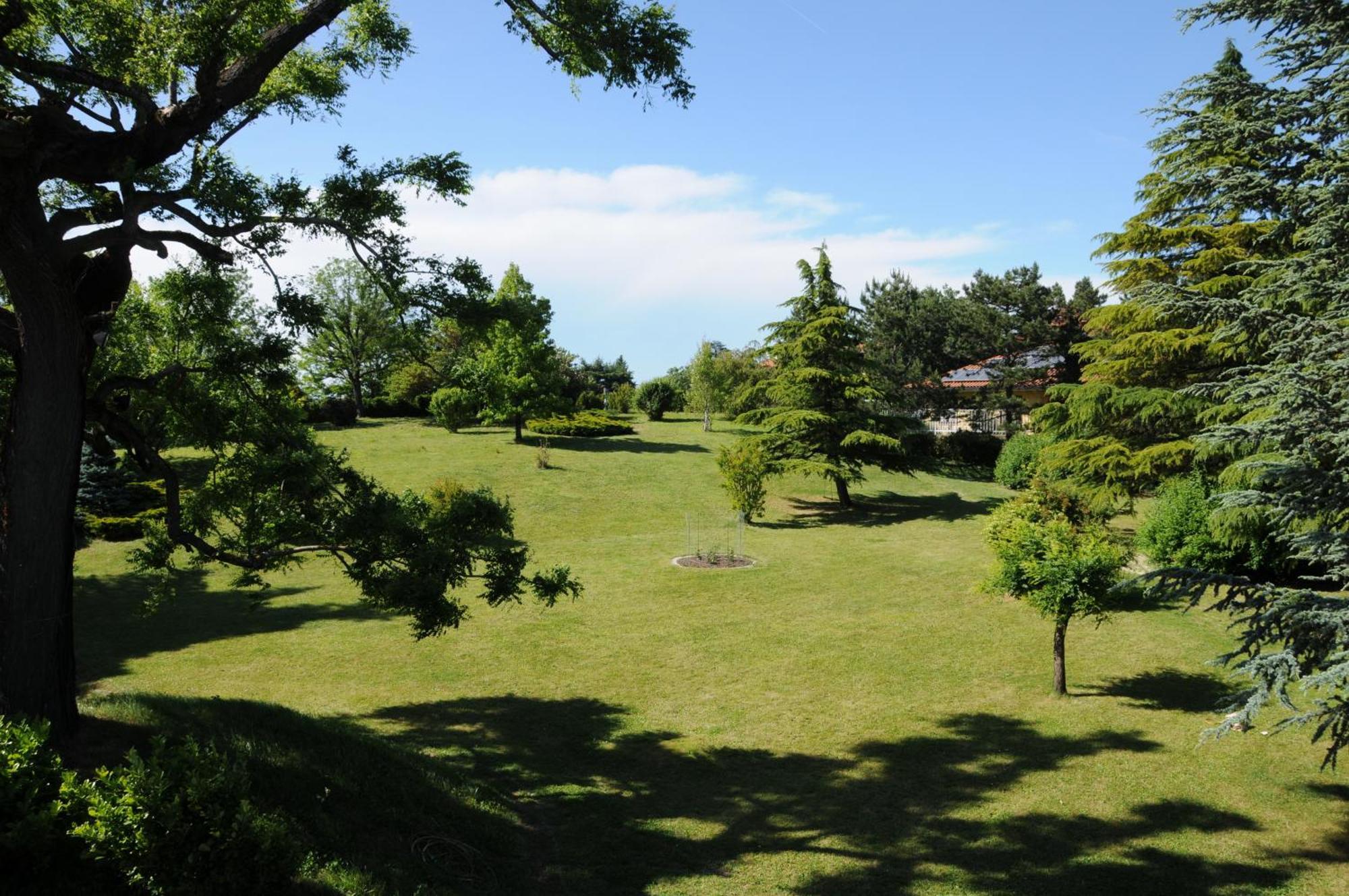 Villa Ester Tagliolo Monferrato Eksteriør billede