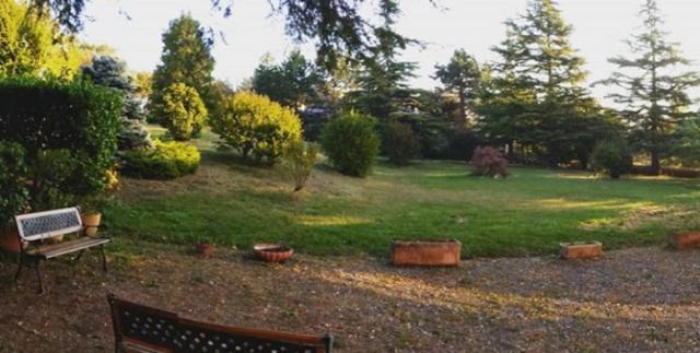 Villa Ester Tagliolo Monferrato Eksteriør billede