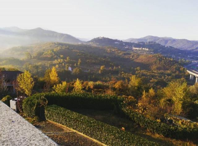 Villa Ester Tagliolo Monferrato Eksteriør billede